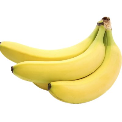 f757489b4b1bd41d56c351e5106d46e1.jpg.400x400